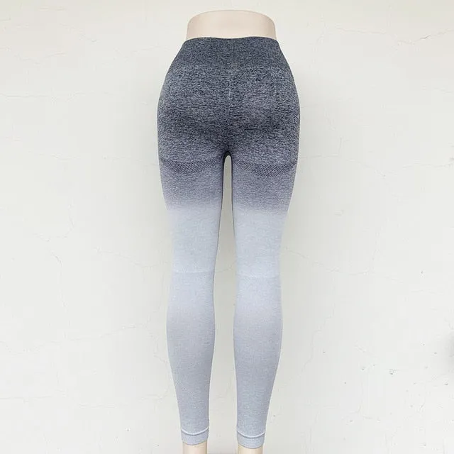 Tights Gradient Seamless Stretchy High Waist Pants